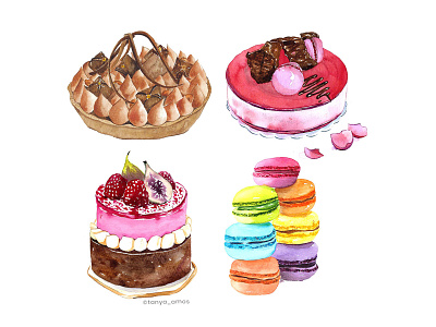 Watercolour dessert illustration figs cake food illustration illustration macaron patisserie watercolour illustration