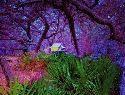 Nighttime in Florida Swamp - Hypercolorism camera raw camping color colorful cool design florida gradient hyper hypercolorism nighttime photo photography photoshop surreal surrealism trippy