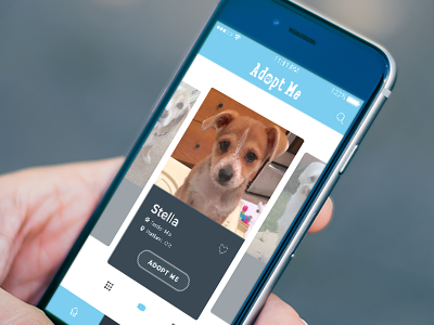Pet adoption app app finder ios mobile pet