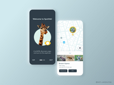 SpotMe | A Wildlife Discovery App app design illustrator ui ui ux ui design ux ux design xd