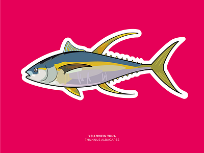 Sticker | Yellowfin Tuna