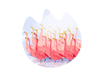 Flamingos 插图