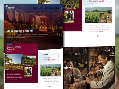 Culinary & Wine Tourism. Promotional Website promotional tourism ui ux website wine