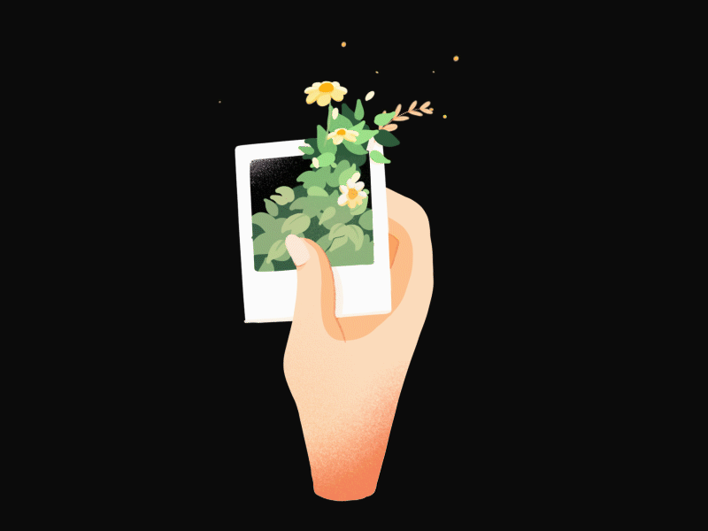 Picture life animate animation color flat flower hand hold illustration life photogaphy picture plant procreate