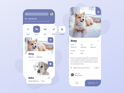 Pet Adoption App