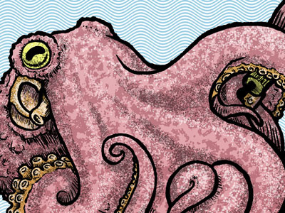 CephaLovePod illustration octopus photoshop screenprint