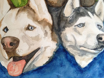 Huskies illustration painting watercolor