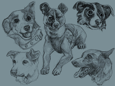 Space Dogs dogs ipad laika sketching soviet space