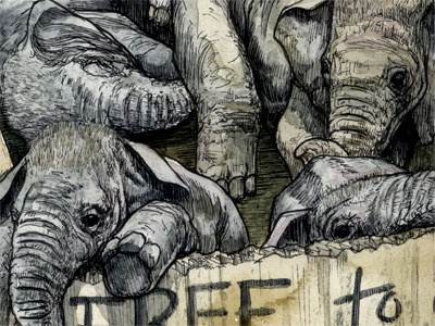 Elephants illustration ink nanodrawmo watercolor