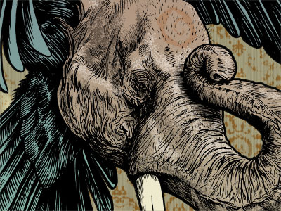 Elephant VI drawing elephant feather illustration ink photoshop