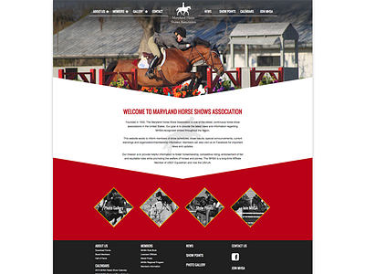 Maryland Horse Shows Association website graphic design seo web development website design
