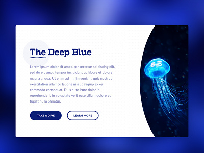 The Deep Blue blue card deep blue design dive divers jellyfish ui ux ui web design