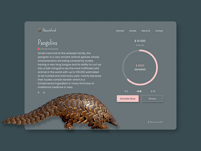 #DailyUI 32: Crowdfunding Campaign crowdfunding dailyui design figma nature pangolins teal webdesign