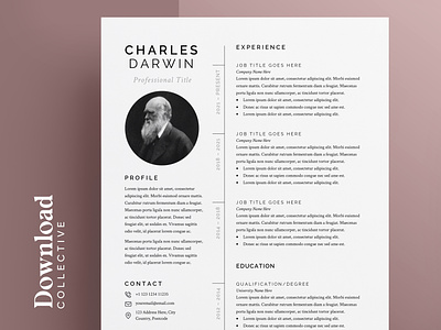 Resume | CV | Download | Cover Letter | A4 and US Letter design