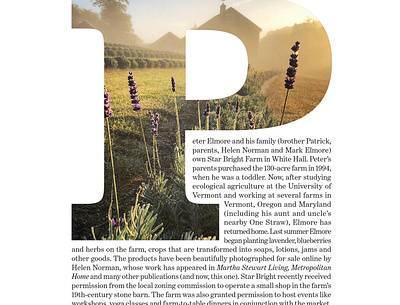Lavender Farm intro editorial design graphic design layout design publication design type as image typogaphy