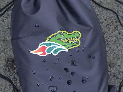 DAA Gator Swim Team Logo branding design fire gator logo packaging swim team water