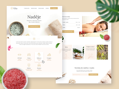 Centrum Nadeje design logo ui web web design webdesign website website design
