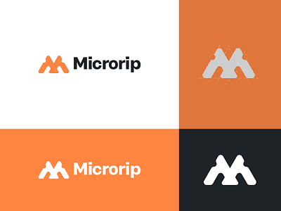 Microrip brand branding graphic design graphic logo identity branding identity designer logo design minimal modern mp3 music app player vector video mp3