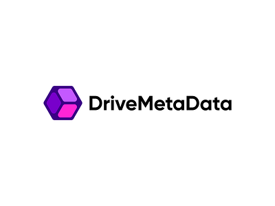 drivemetadata brand branding design drivemetadata graphic design illustration logo logo design minimal modern ui