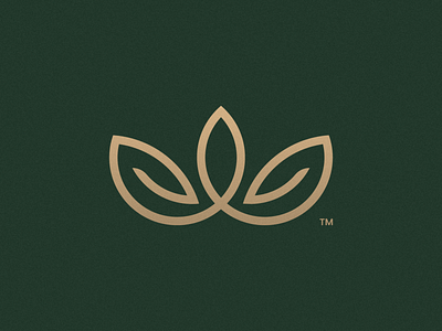 Unused Crown+Leaf Concept brand brand identity branding crown design gold green icon illustration leaf logo logo mark logodesign minimal symbol