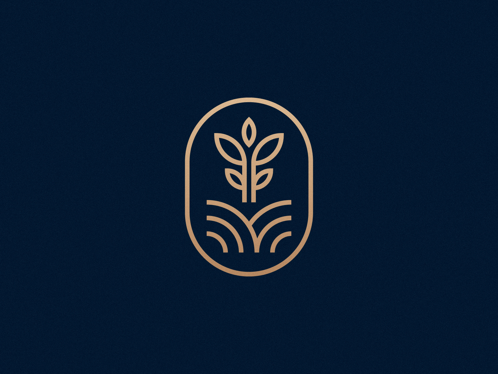 MG Monogram Logo by Aditya Chhatrala on Dribbble