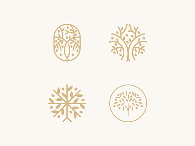 Olive Tree Concepts brand branding concepts design gold icon leaf logo logodesign logofolio minimal nature olive olive oil olive tree tree