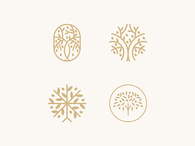 Olive Tree Concepts brand branding concepts design gold icon leaf logo logodesign logofolio minimal nature olive olive oil olive tree tree