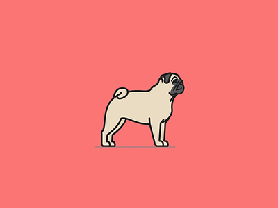 Gizmo the Pug dog dogpig illustrator oinker pug