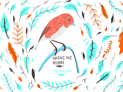 Toutouwai bird maori native nature illustration new zealand observational plant procreate art quick sketch