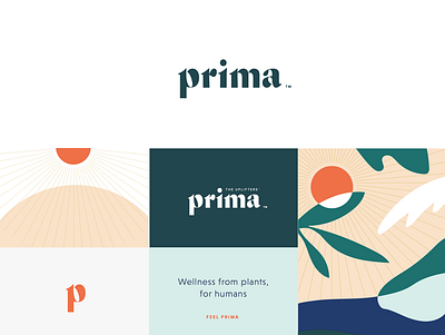 Prima branding identity illustration