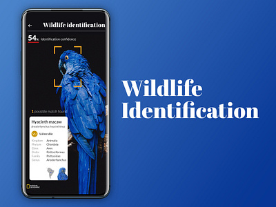 Wildlife Identification cards mobile ui ux