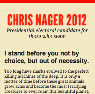Chris Nager for President 2012 @320px width chrisnager2012 css3 html5 media queries responsive design
