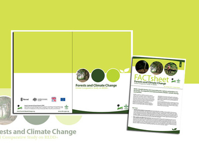 Cifor Factsheet