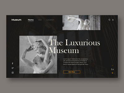Museum UI Design graphic design ui ux web website