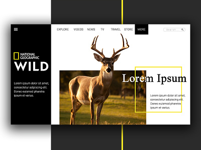Nat Geo Wild - UI Design design draft ui ux web website
