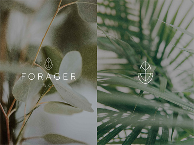 Forager & Co branding color design illustration logo typogaphy vector