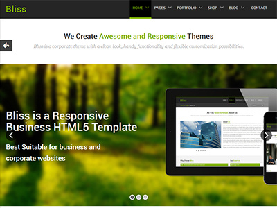 Bliss - Simple Responsive Business HTML5 Theme bootstrap business corporate css3 html5 responsive shop design