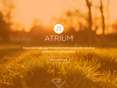 Atrium One Page Parallax Html5 & Css3 Template css3 html5 one page template parallax effect website template