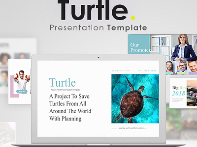 Turtle Power Point Presentation Template abstract analysis animated business company conference corporate diagram ecommerce portfolio powerpoint pptx presentation