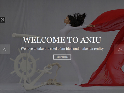 ANIU - Responsive Onepage Site Template