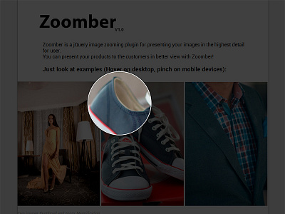 Zoomber - Image Zooming jQuery Plugin animations easy gallery image zoomer image zooming images jquery lens magnifier scale scroll zoom
