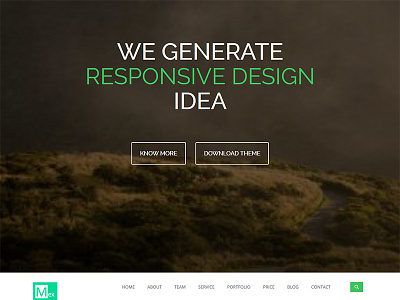 Mex One Page HTML Template html5 one page portfolio responsive template