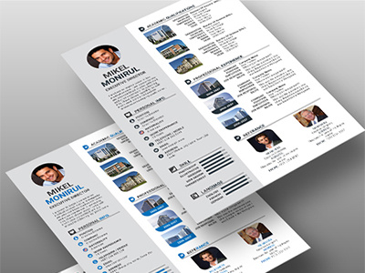 Multipurpose High Quality Resume/Cv