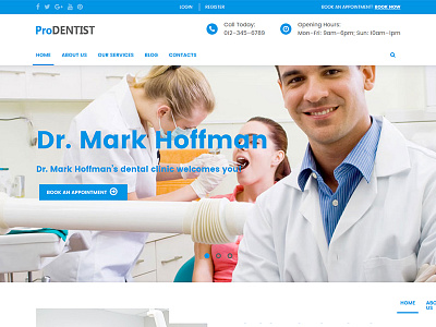 Dentist & Medical WordPress Theme beauty dentist medical wordpress