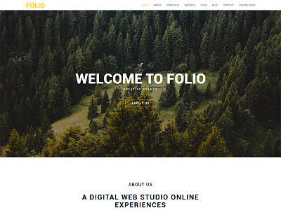 FOLIO - One Page HTML5 Template agency bootstrap business corporate css3 event html5 landing onepage parallax portfolio theme