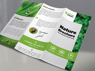 Trifold Corporate Brochure