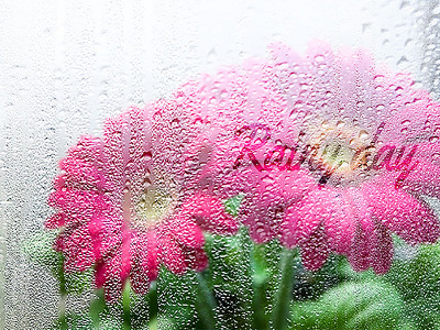 Foggy Rainy Window Photoshop Action action atn blur image liqify overlay photoshop rain