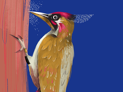 Peckaboo - busy at work animal animation bird branding character charactercreation conceptart creature design digital forest illustration illustrator insect landscape mural night whimsical whimsy woodpecker