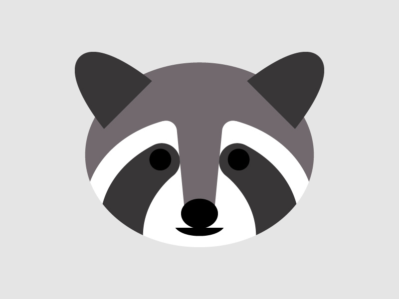 Refuel07 raccoon