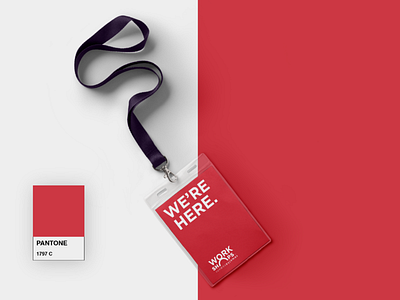 Identification Cards & Color branding design illustration logo